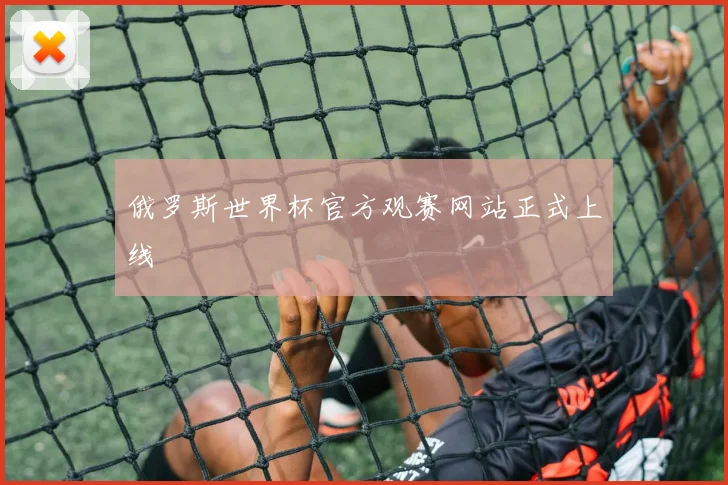 俄罗斯世界杯官方观赛网站正式上线