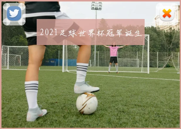 2021足球世界杯冠军诞生