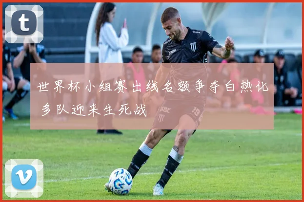 世界杯小组赛出线名额争夺白热化 多队迎来生死战