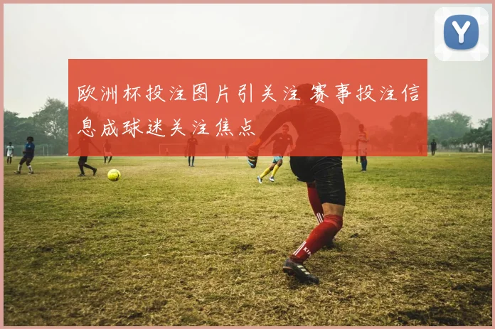 欧洲杯投注图片引关注 赛事投注信息成球迷关注焦点