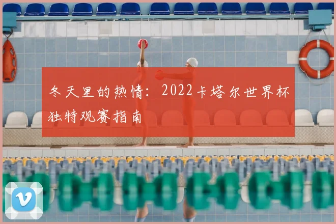 冬天里的热情：2022卡塔尔世界杯独特观赛指南