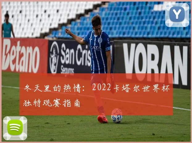 冬天里的热情:2022卡塔尔世界杯独特观赛指南