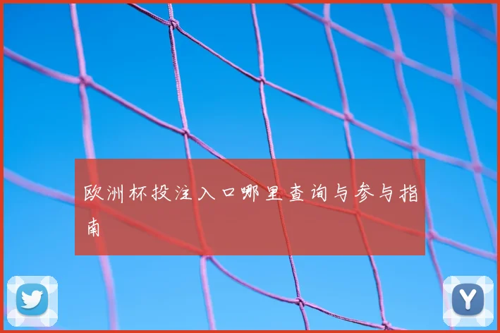 欧洲杯投注入口哪里查询与参与指南