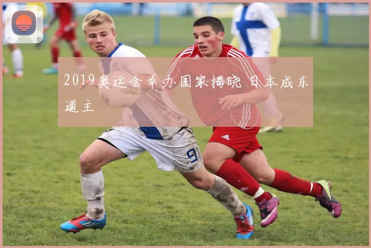 2019奥运会举办国家揭晓 日本成东道主
