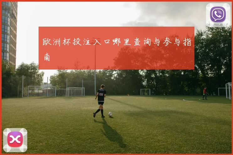 欧洲杯投注入口哪里查询与参与指南