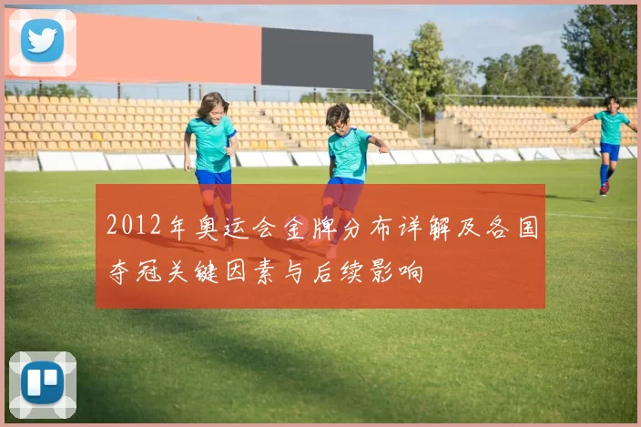 2012年奥运会金牌分布详解及各国夺冠关键因素与后续影响