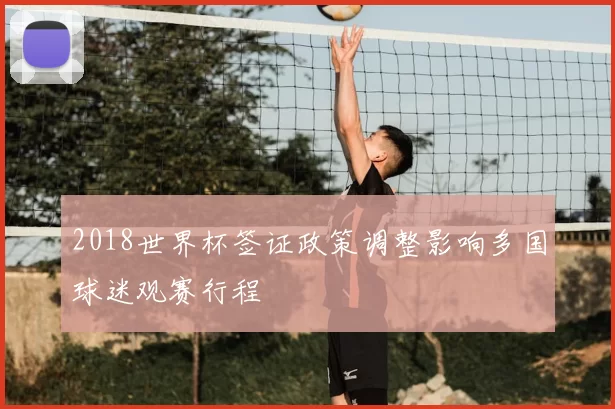 2018世界杯签证政策调整影响多国球迷观赛行程