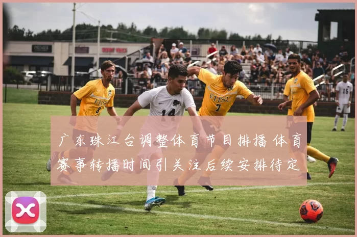 广东珠江台调整体育节目排播 体育赛事转播时间引关注后续安排待定
