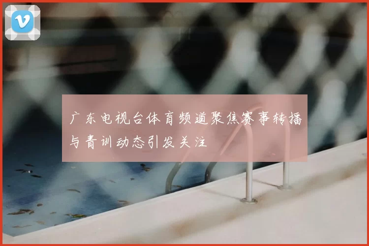 广东电视台体育频道聚焦赛事转播与青训动态引发关注