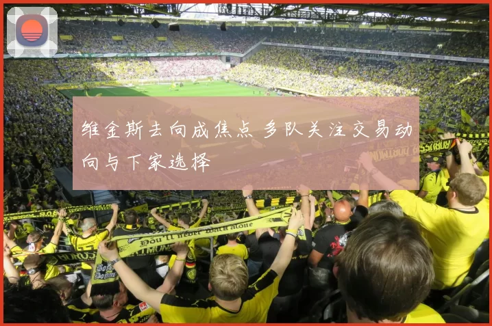 维金斯去向成焦点 多队关注交易动向与下家选择